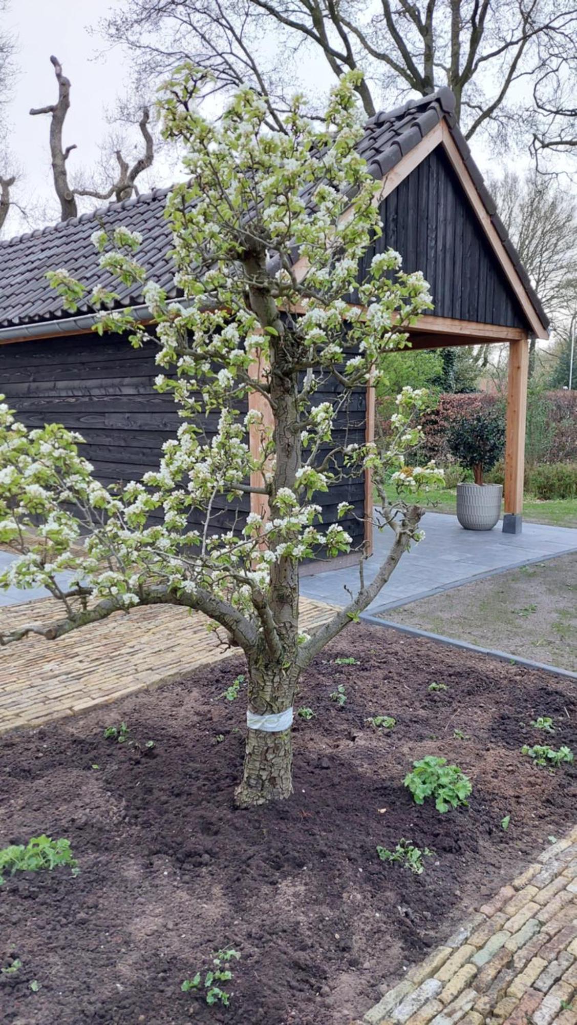 Apartmán De Buwepleats Drogeham Exteriér fotografie